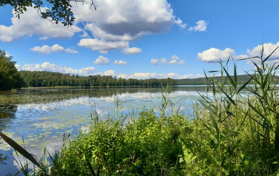 Kirkkojärvi